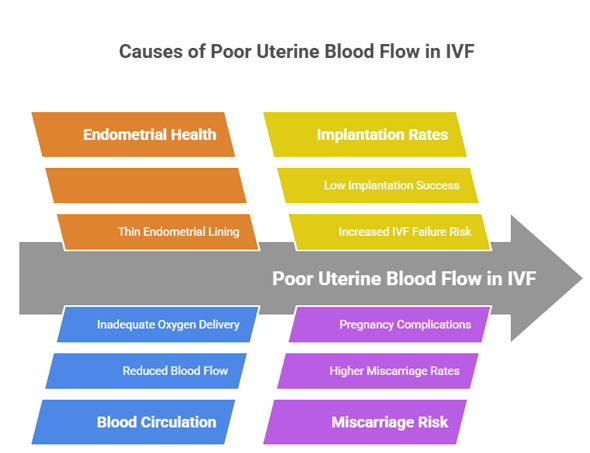 How to improve uterine blood flow during IVF treatment