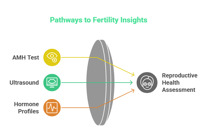 Fertility Check-Up in Your 20s & 30s: Why Sooner Is Smarter
