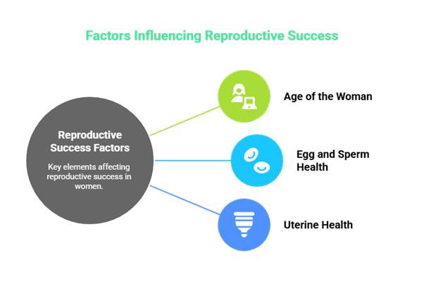 Understanding IVF Success Factors with Genesis IVF Advanced Fertility Clinic Doctors